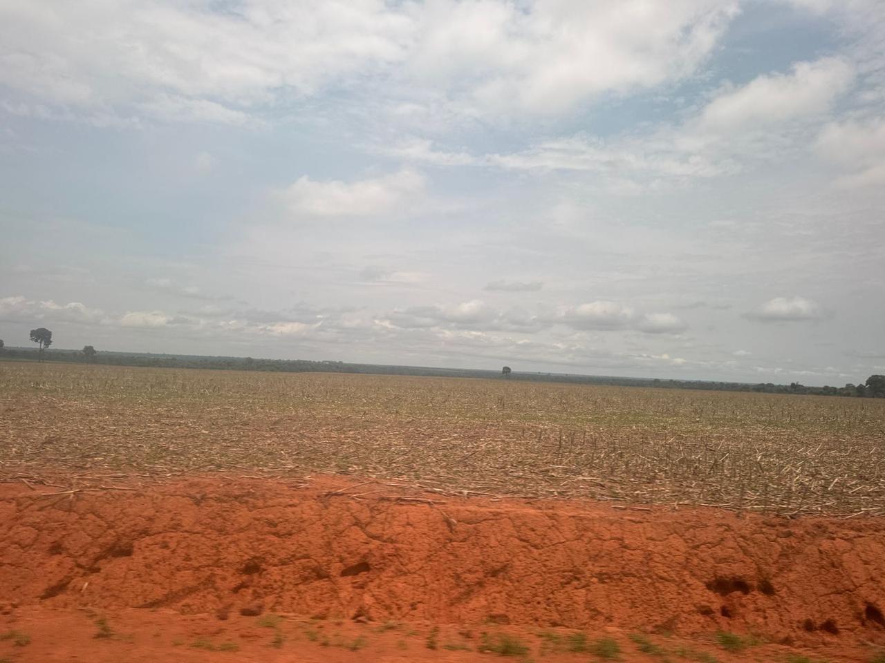 Fazenda 269 hectares — Sinop/MT